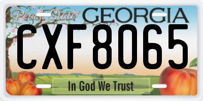 GA license plate CXF8065