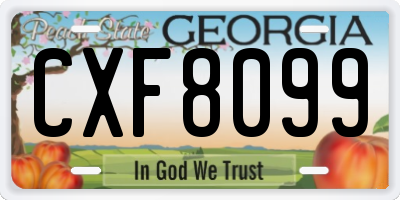 GA license plate CXF8099