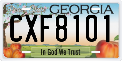 GA license plate CXF8101