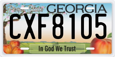 GA license plate CXF8105