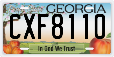 GA license plate CXF8110