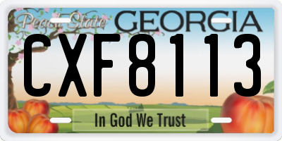 GA license plate CXF8113