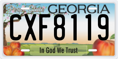 GA license plate CXF8119
