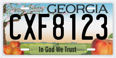 GA license plate CXF8123