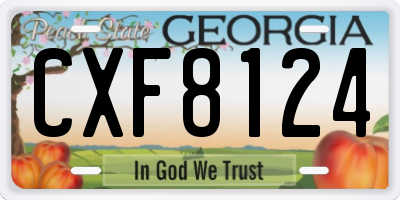 GA license plate CXF8124
