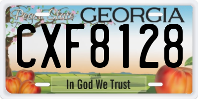 GA license plate CXF8128