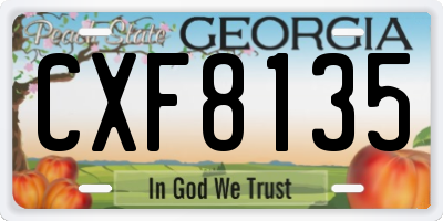 GA license plate CXF8135