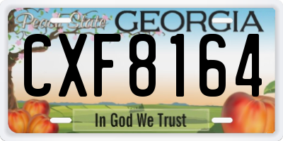 GA license plate CXF8164