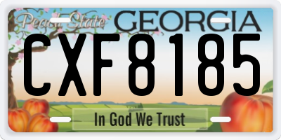 GA license plate CXF8185