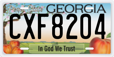 GA license plate CXF8204