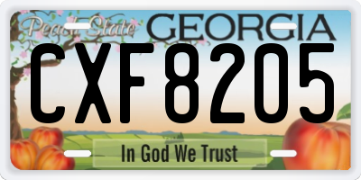 GA license plate CXF8205