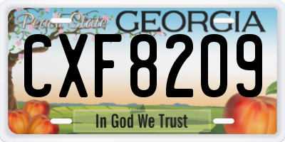 GA license plate CXF8209