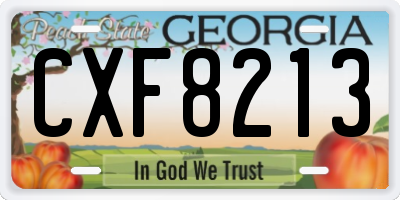 GA license plate CXF8213