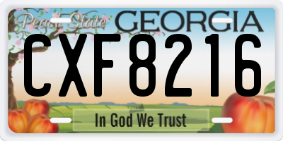 GA license plate CXF8216