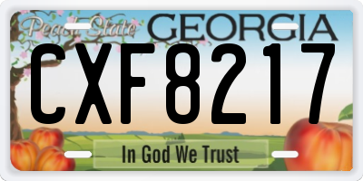 GA license plate CXF8217