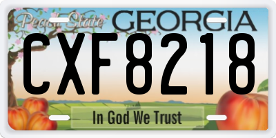 GA license plate CXF8218