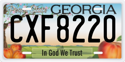 GA license plate CXF8220