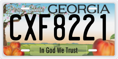 GA license plate CXF8221