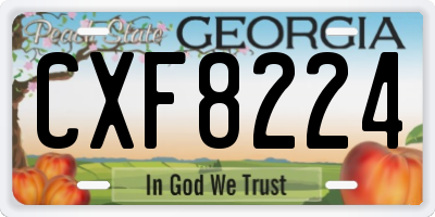 GA license plate CXF8224