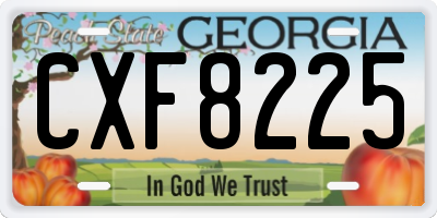GA license plate CXF8225