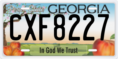 GA license plate CXF8227