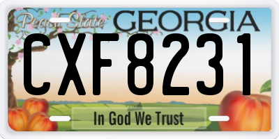 GA license plate CXF8231