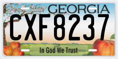 GA license plate CXF8237