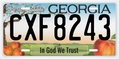 GA license plate CXF8243