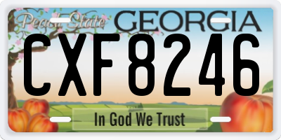 GA license plate CXF8246