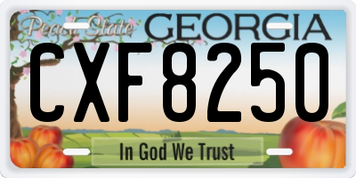 GA license plate CXF8250