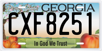 GA license plate CXF8251