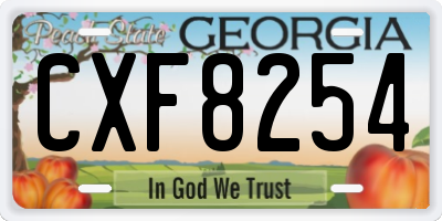GA license plate CXF8254