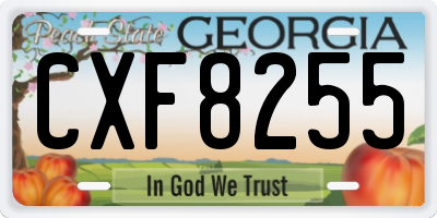 GA license plate CXF8255