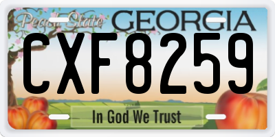 GA license plate CXF8259
