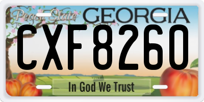 GA license plate CXF8260