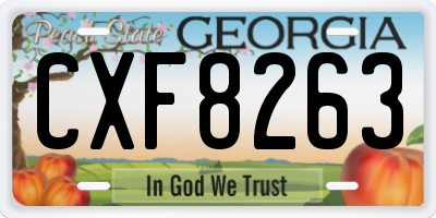 GA license plate CXF8263