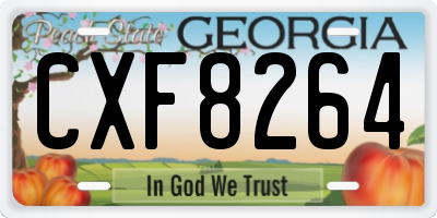 GA license plate CXF8264