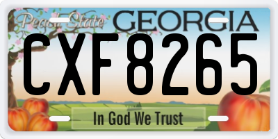 GA license plate CXF8265