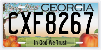 GA license plate CXF8267
