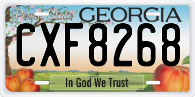 GA license plate CXF8268