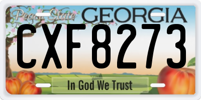 GA license plate CXF8273