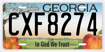 GA license plate CXF8274