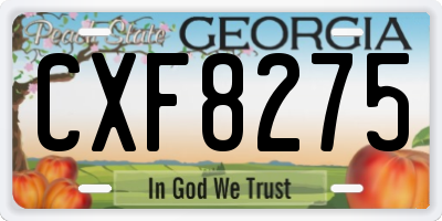 GA license plate CXF8275