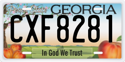 GA license plate CXF8281