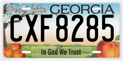 GA license plate CXF8285