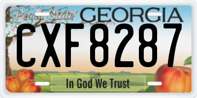 GA license plate CXF8287