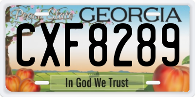 GA license plate CXF8289