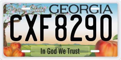 GA license plate CXF8290