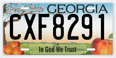 GA license plate CXF8291