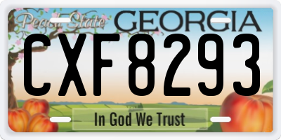 GA license plate CXF8293